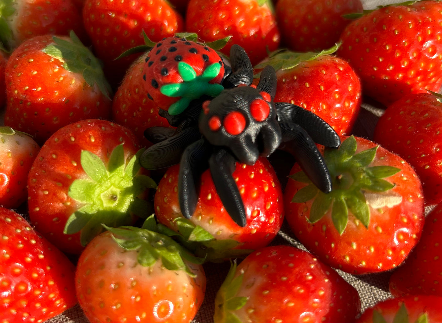 Cute Articulated Spiders 3D Printed High Quality Fidget Toy Collection