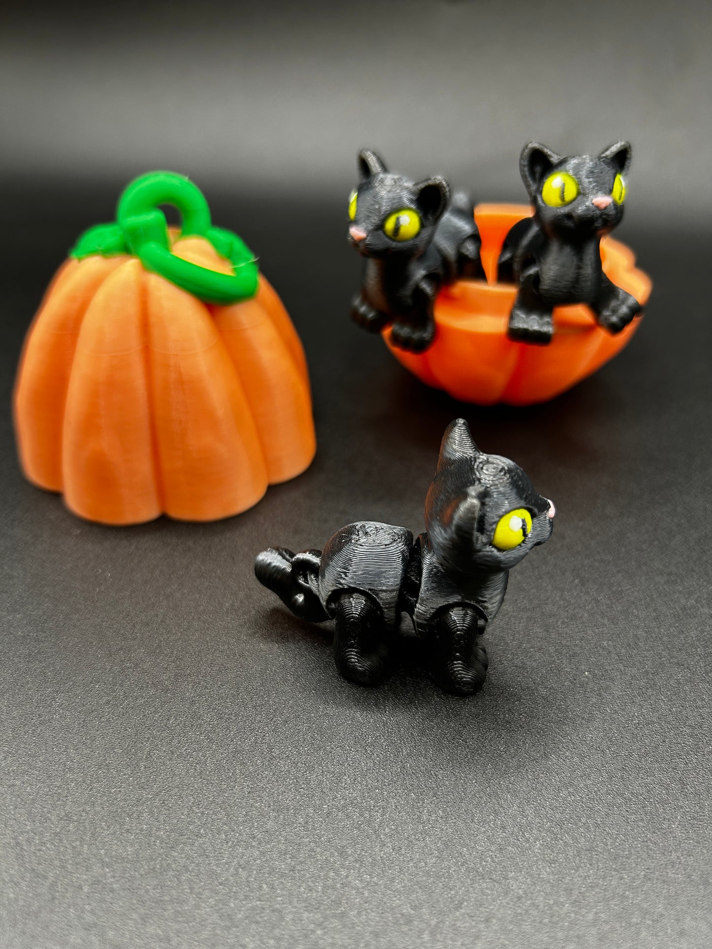 Cat ~ Spooky Hatchling