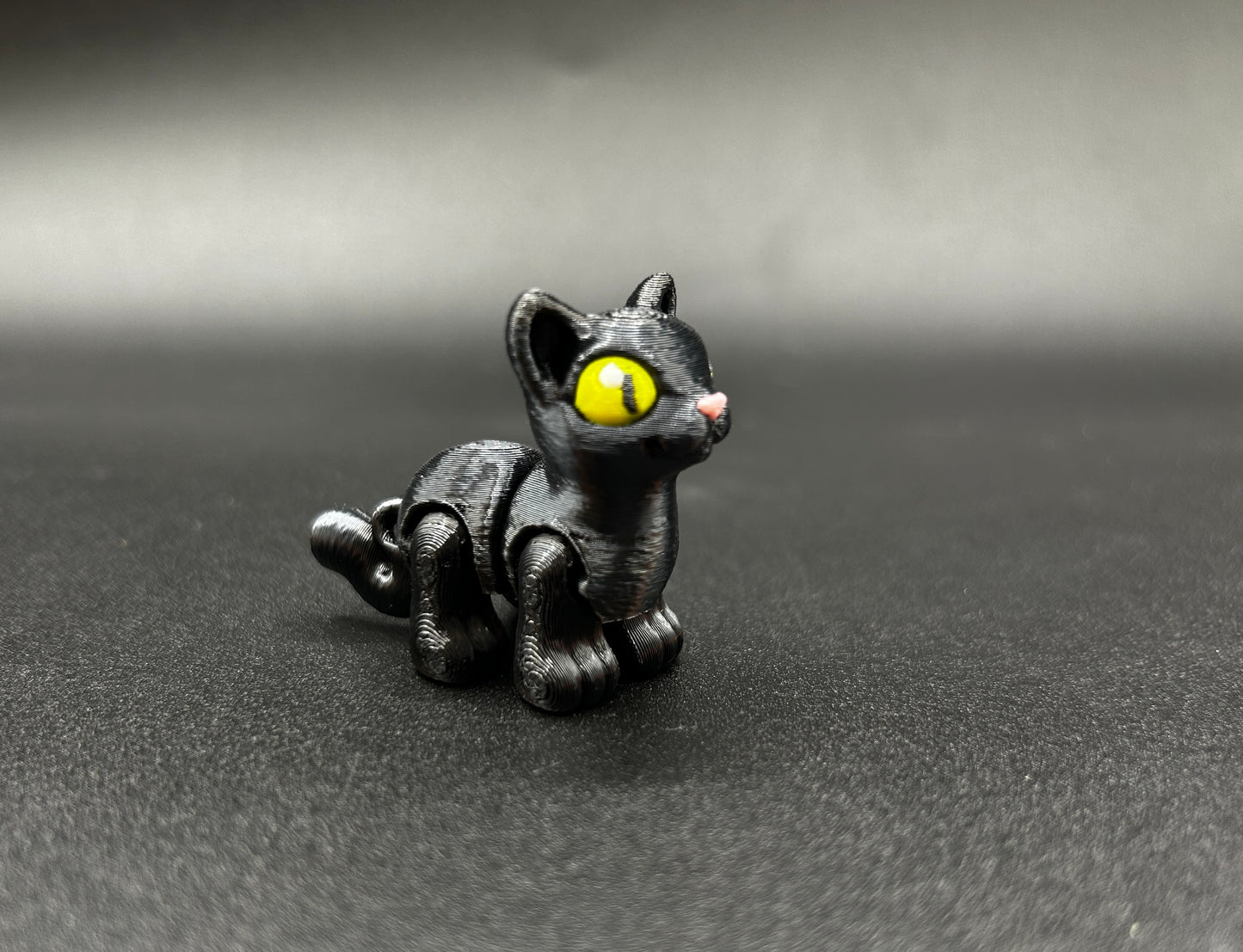 Cat ~ Spooky Hatchling