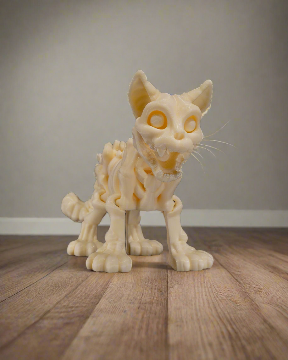 Skeleton Cat