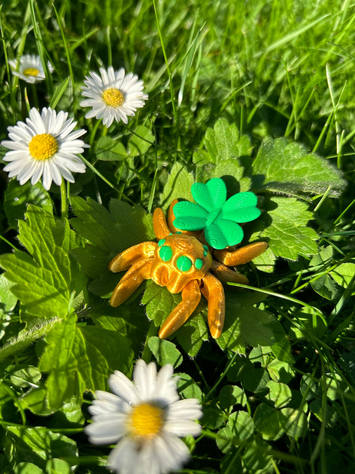 Cute Articulated Spiders 3D Printed High Quality Fidget Toy Collection