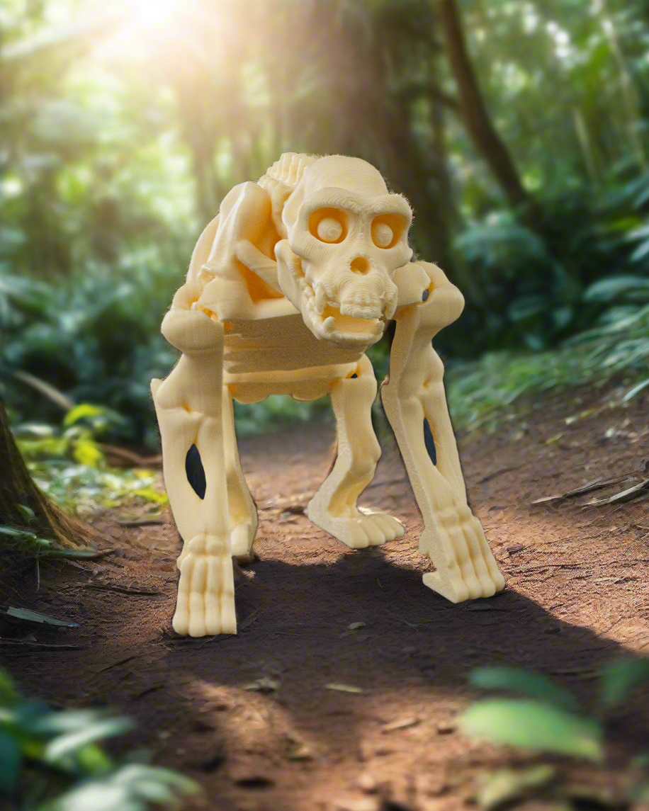 Skeleton Chimp