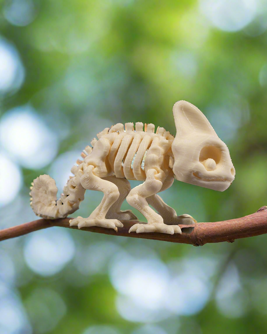 Skeleton Chameleon