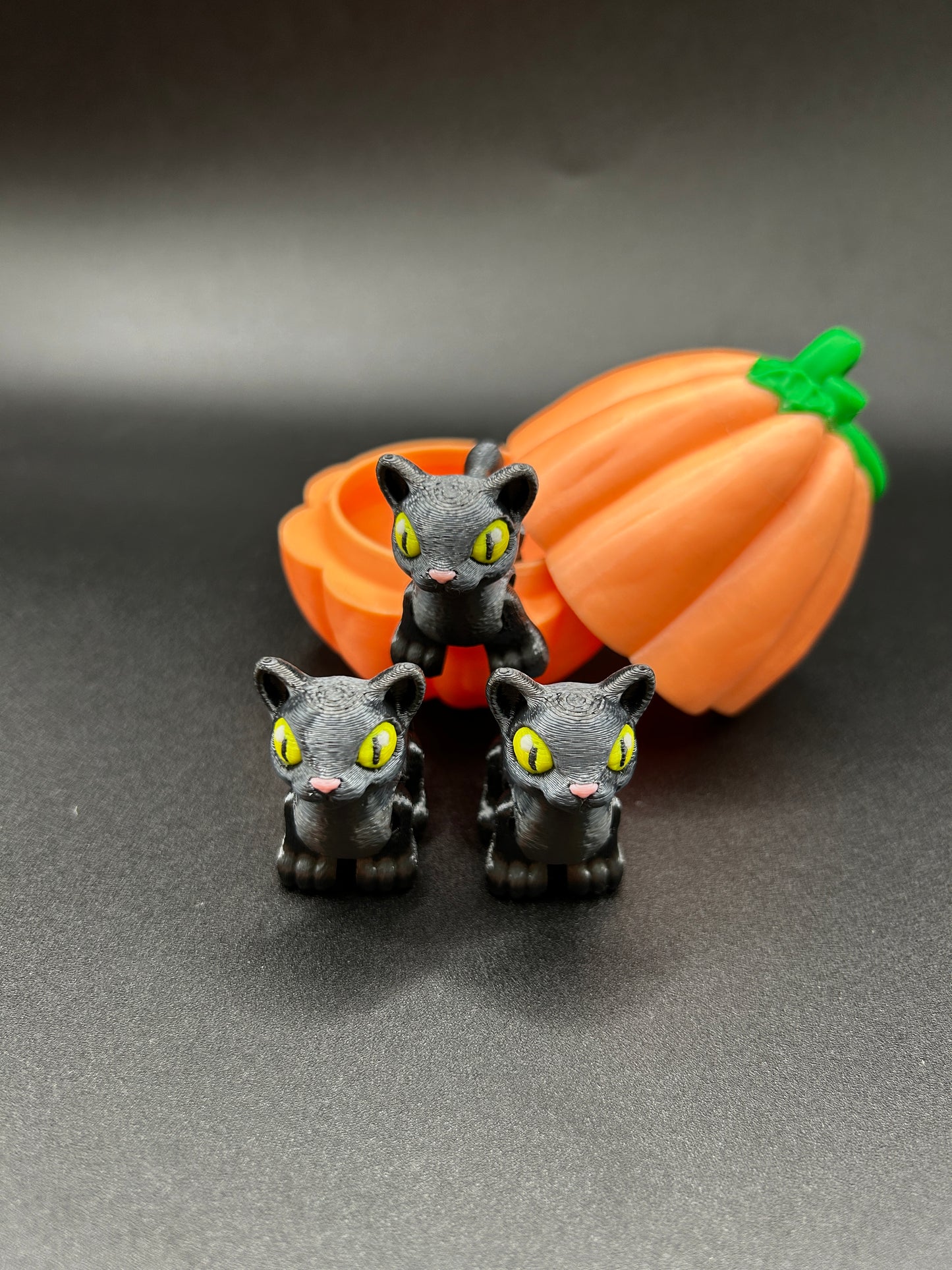 Cat ~ Spooky Hatchling