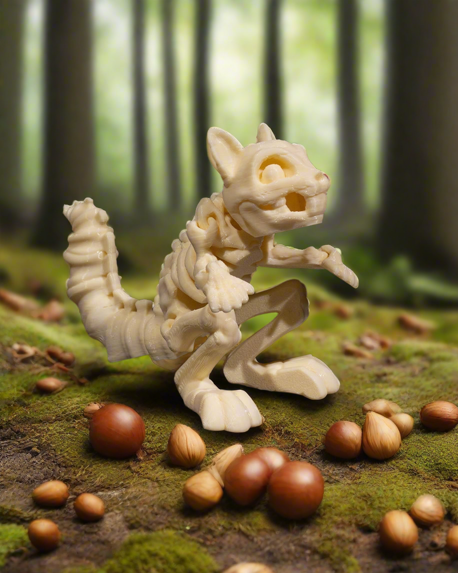 Skeleton Squirrel