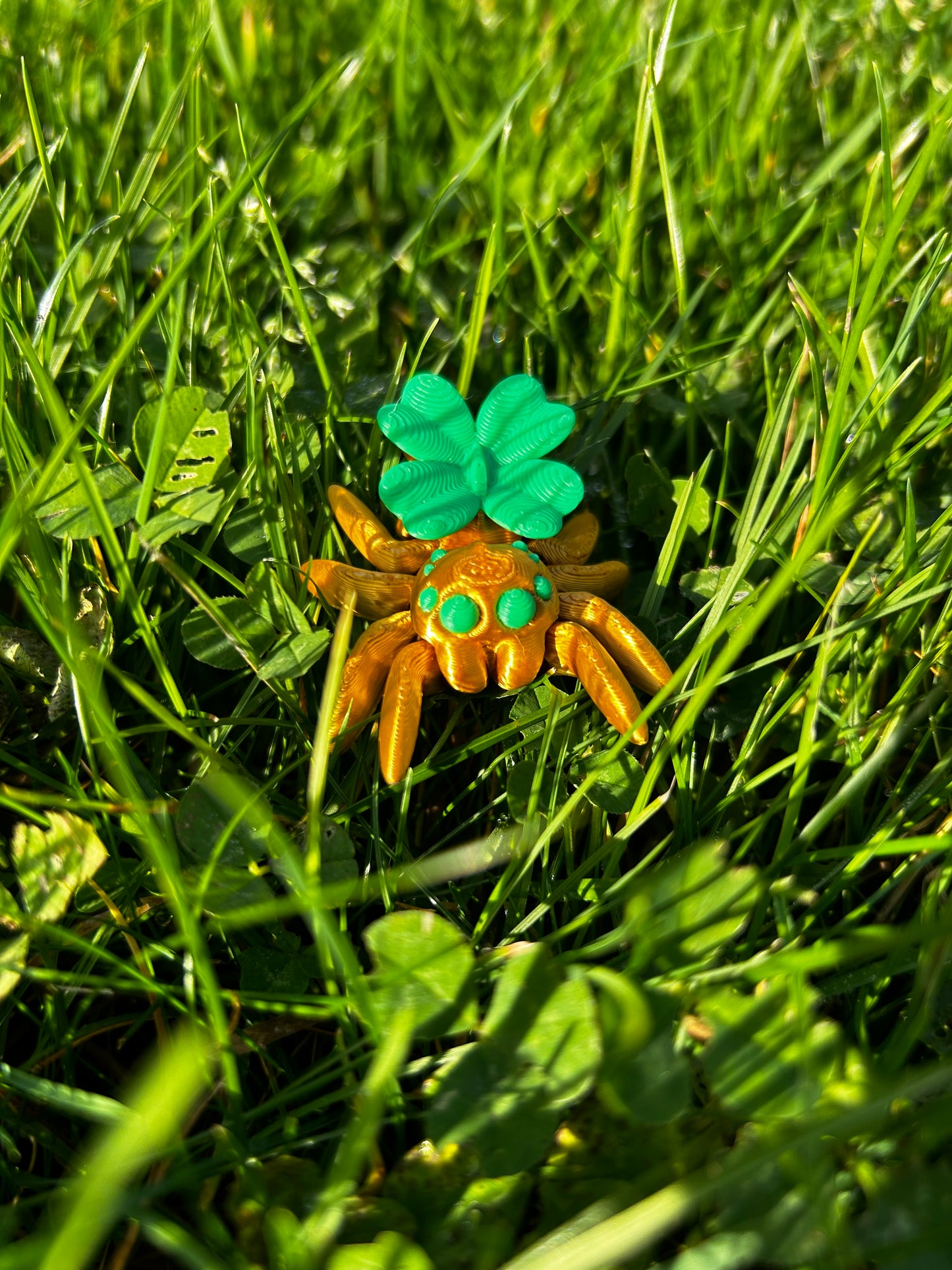 Cute Articulated Spiders 3D Printed High Quality Fidget Toy Collection