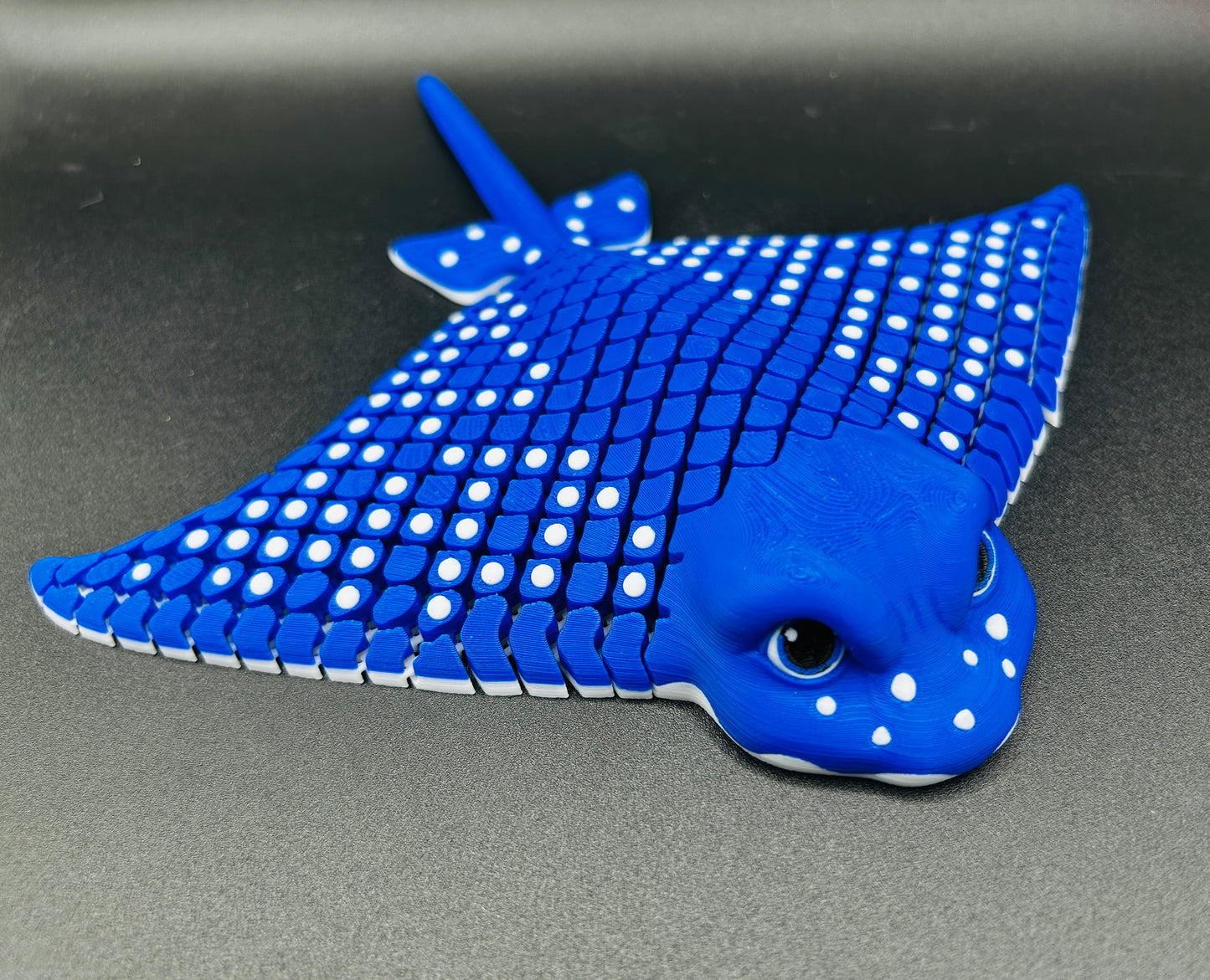 Igor ~ Spotted Eagle Stingray