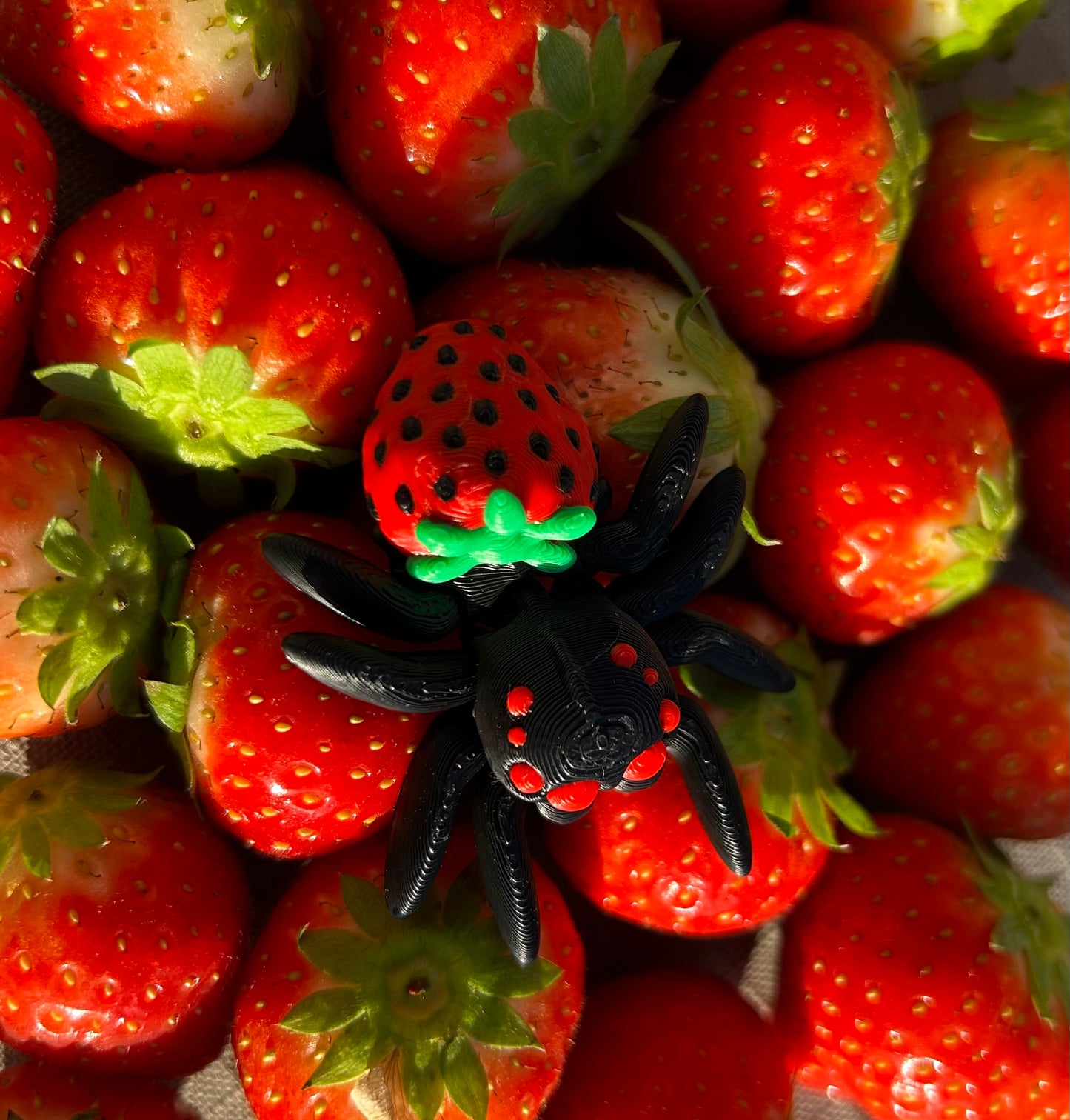 Cute Articulated Spiders 3D Printed High Quality Fidget Toy Collection