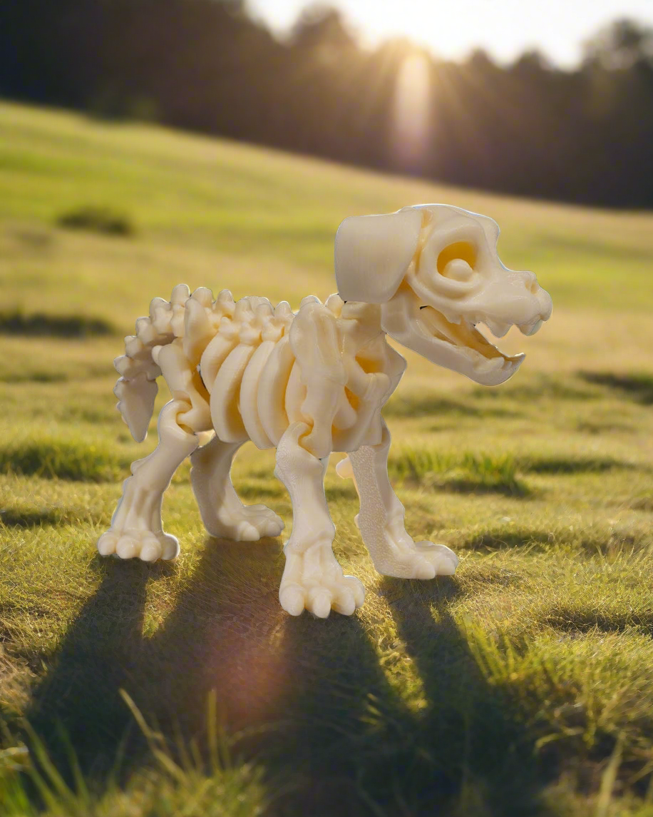Skeleton Dog