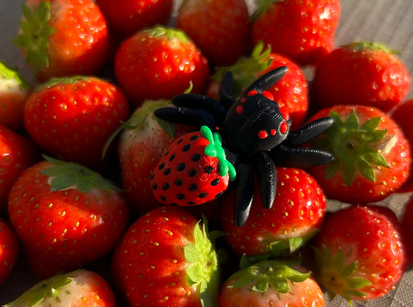 Cute Articulated Spiders 3D Printed High Quality Fidget Toy Collection