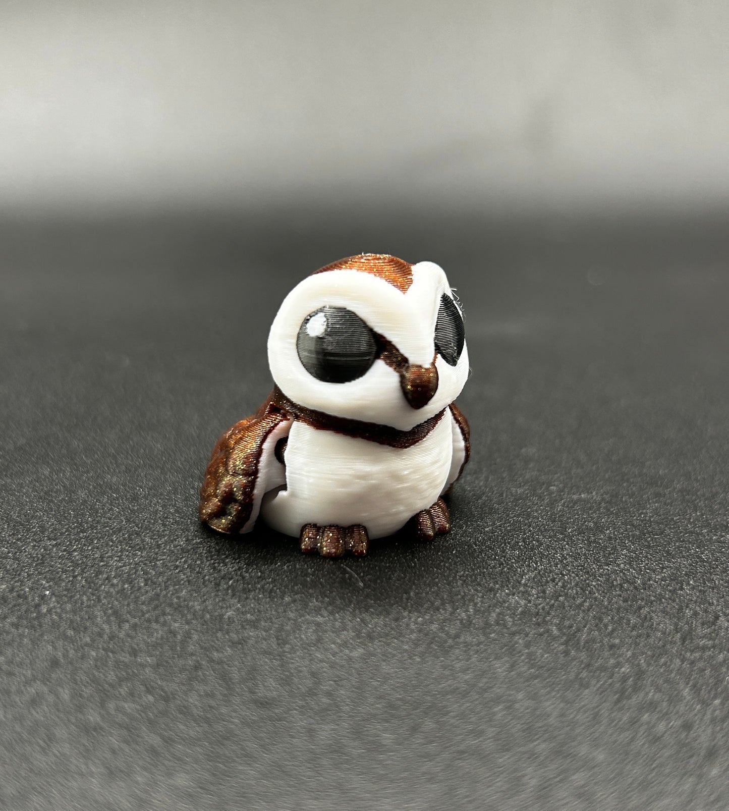 Barn Owl ~ Spooky Hatchling