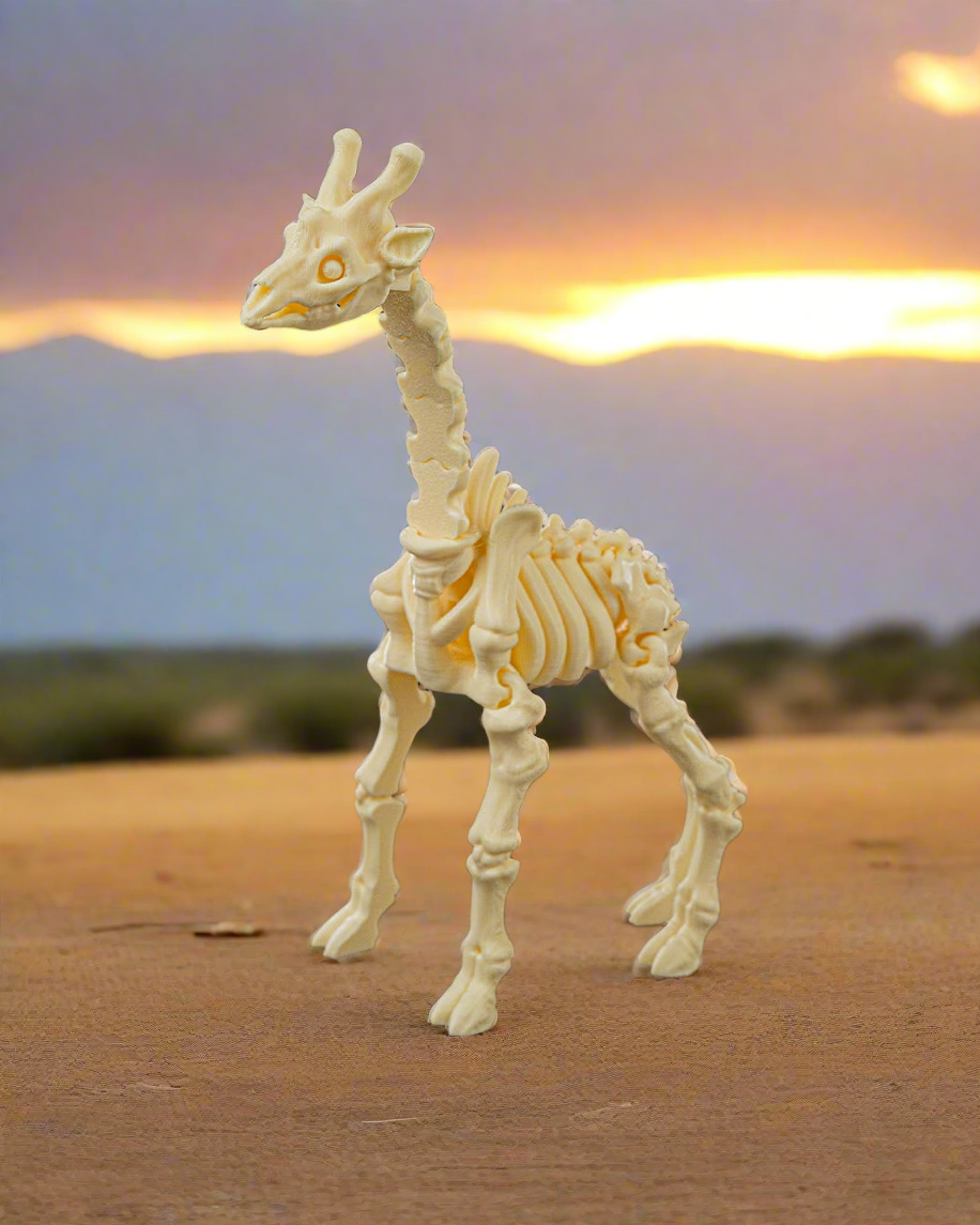Skeleton Giraffe
