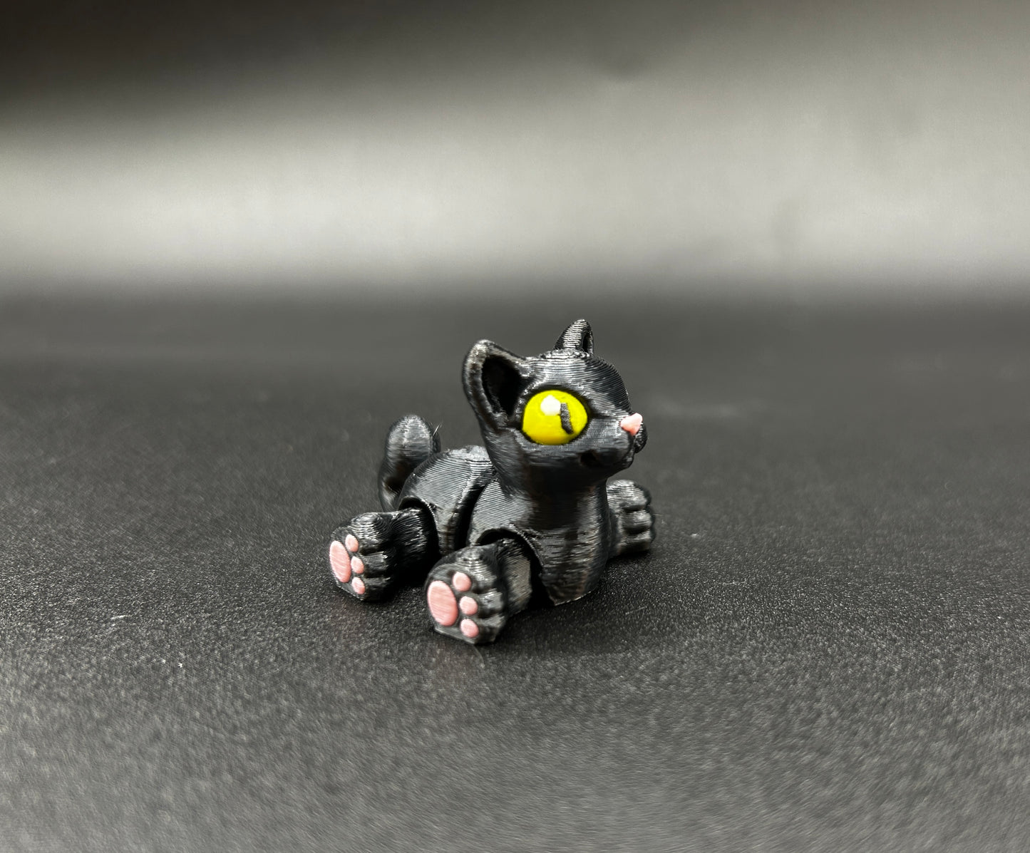 Cat ~ Spooky Hatchling