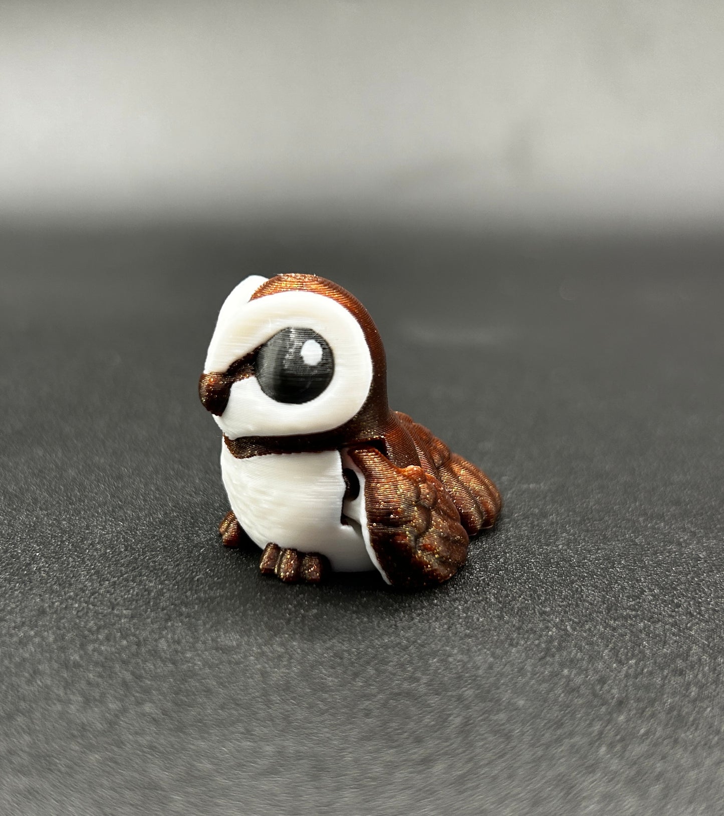 Barn Owl ~ Spooky Hatchling