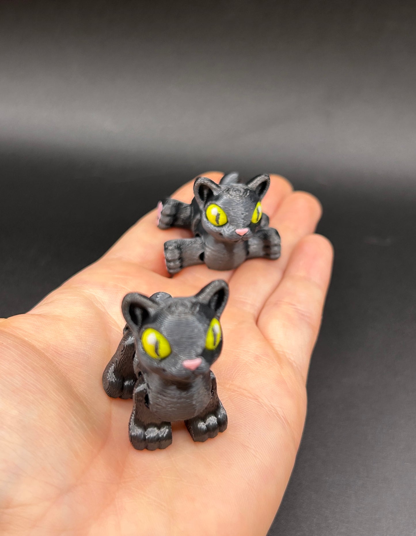 Cat ~ Spooky Hatchling