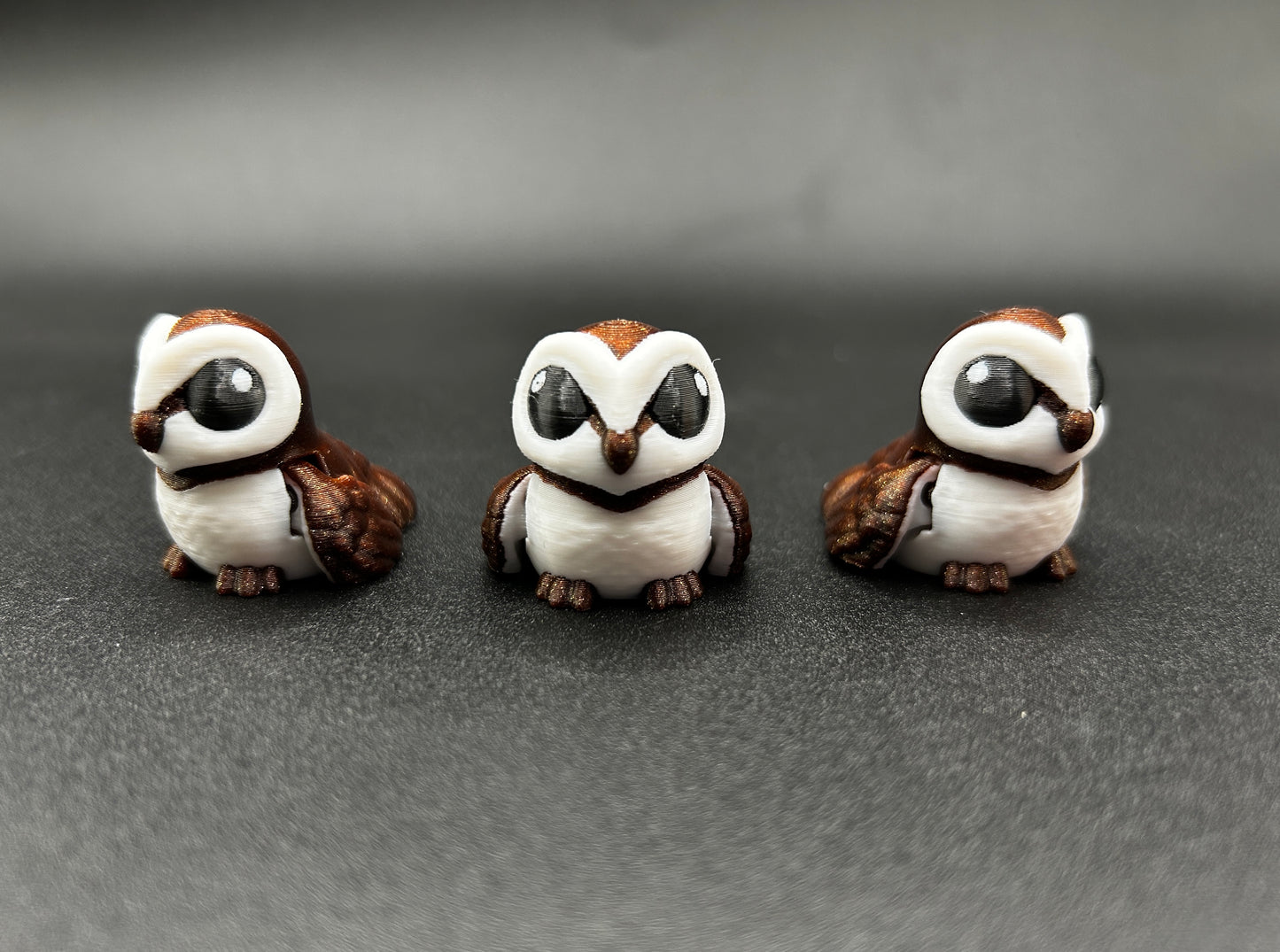 Barn Owl ~ Spooky Hatchling