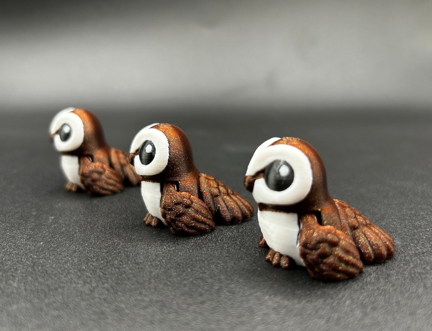 Barn Owl ~ Spooky Hatchling