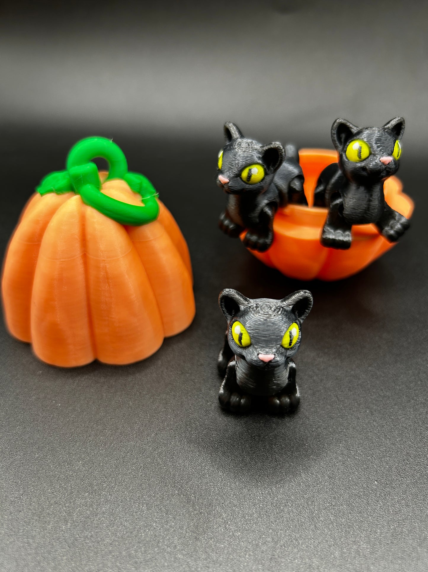 Cat ~ Spooky Hatchling
