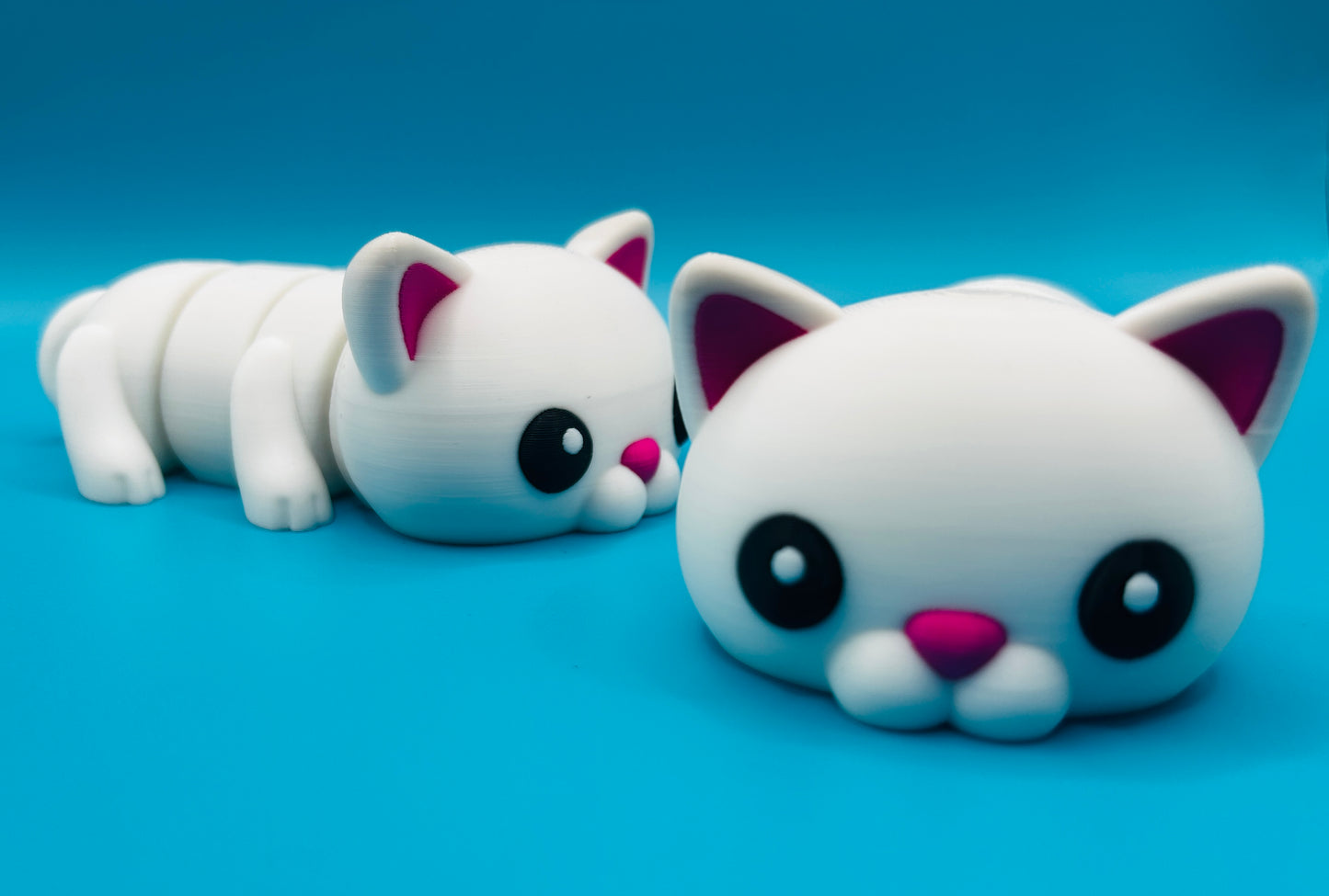 Flexi Cat