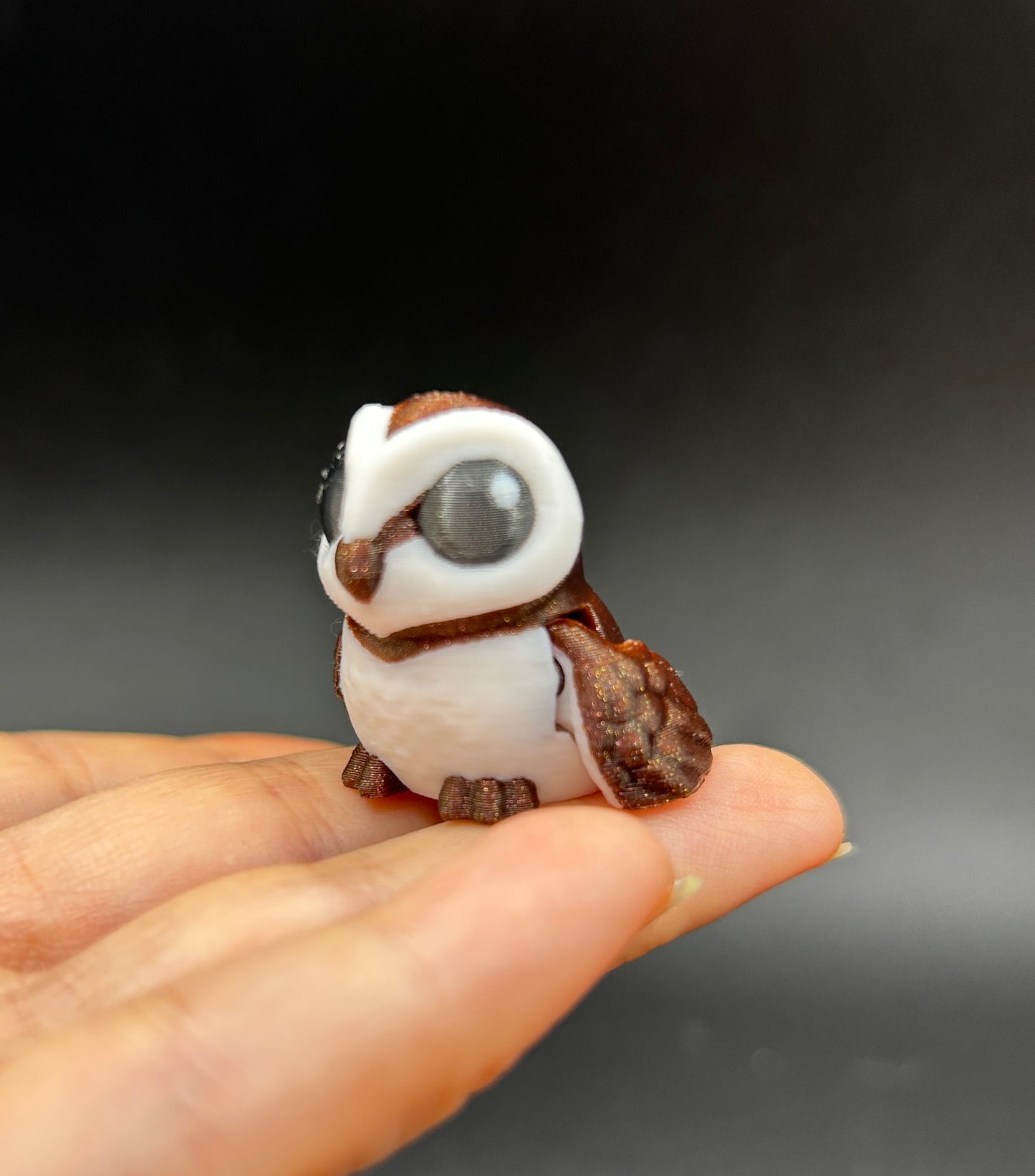 Barn Owl ~ Spooky Hatchling