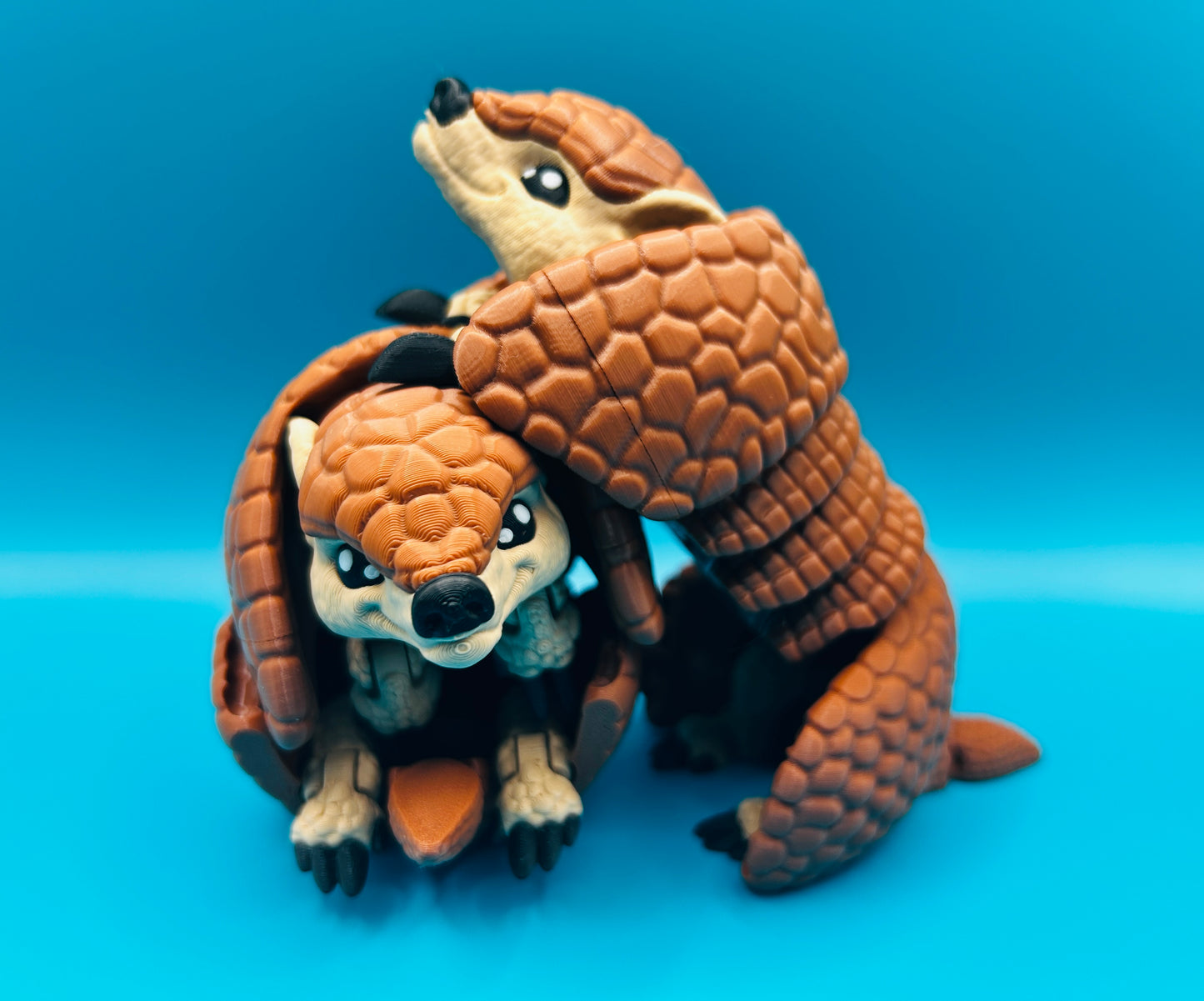 Armadillo
