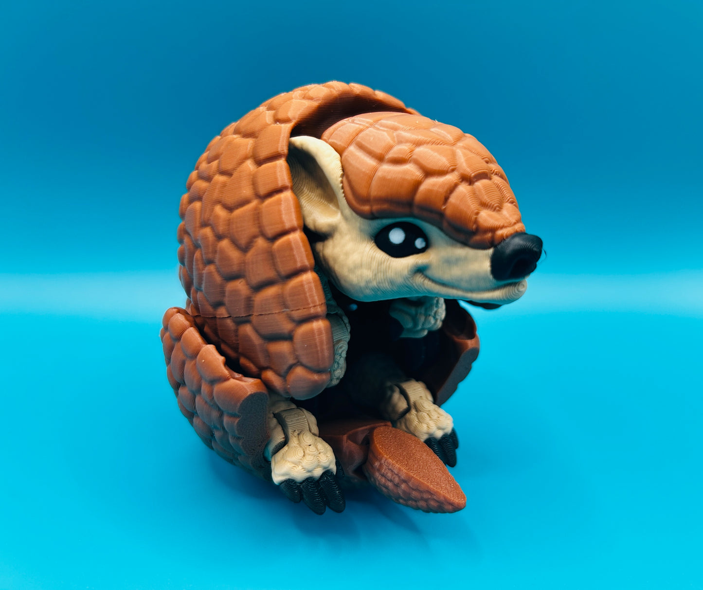 Armadillo