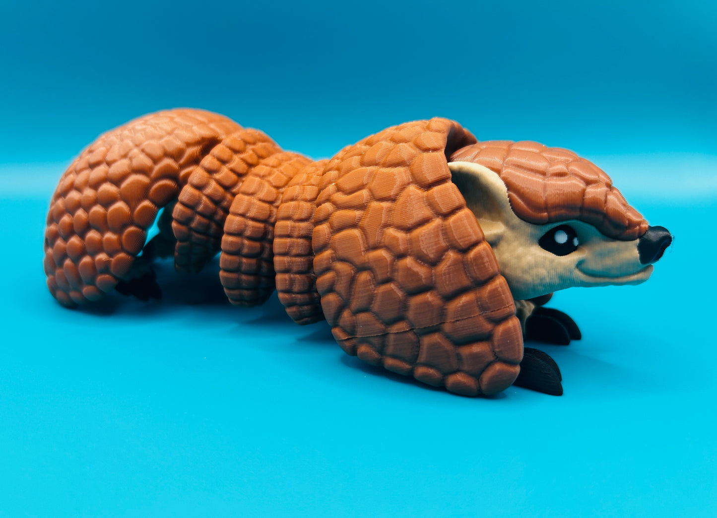 Armadillo