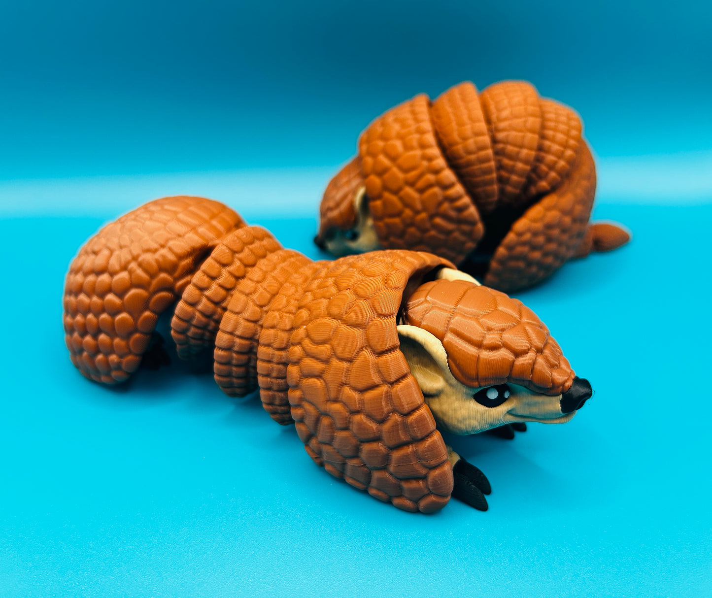 Armadillo