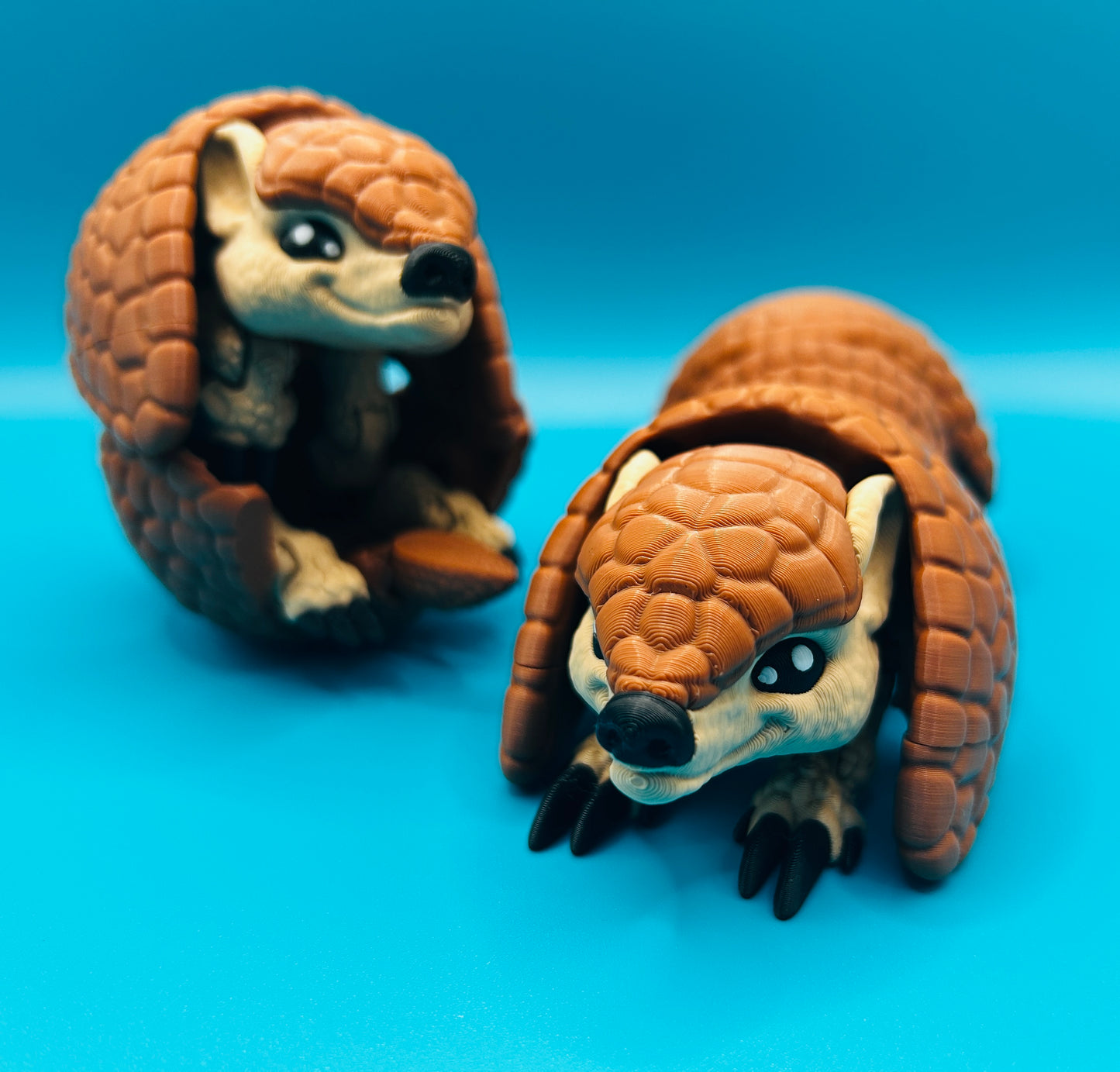 Armadillo