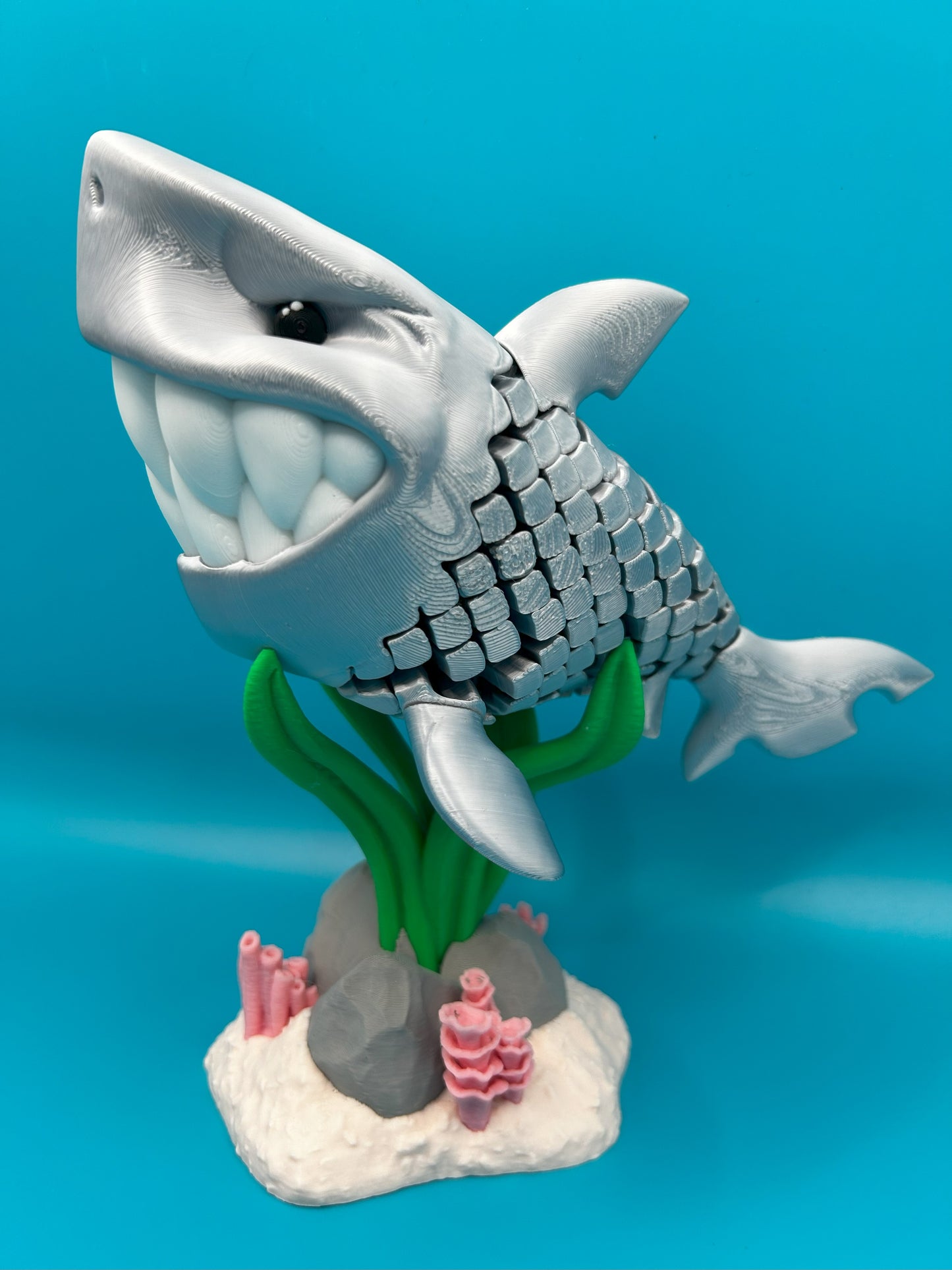Travis The Silver Shark