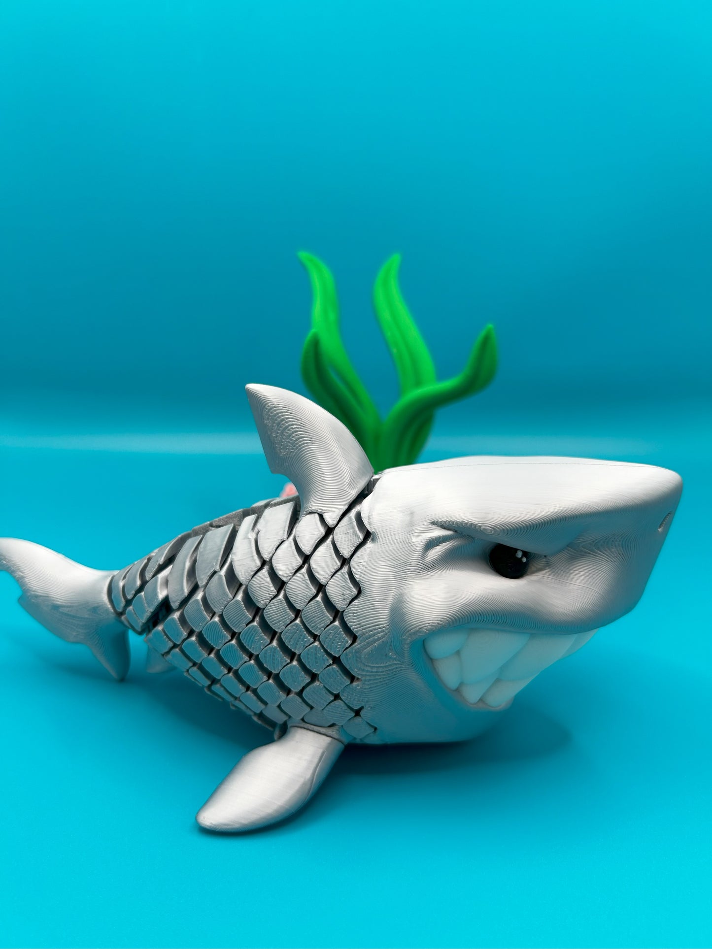 Travis The Silver Shark