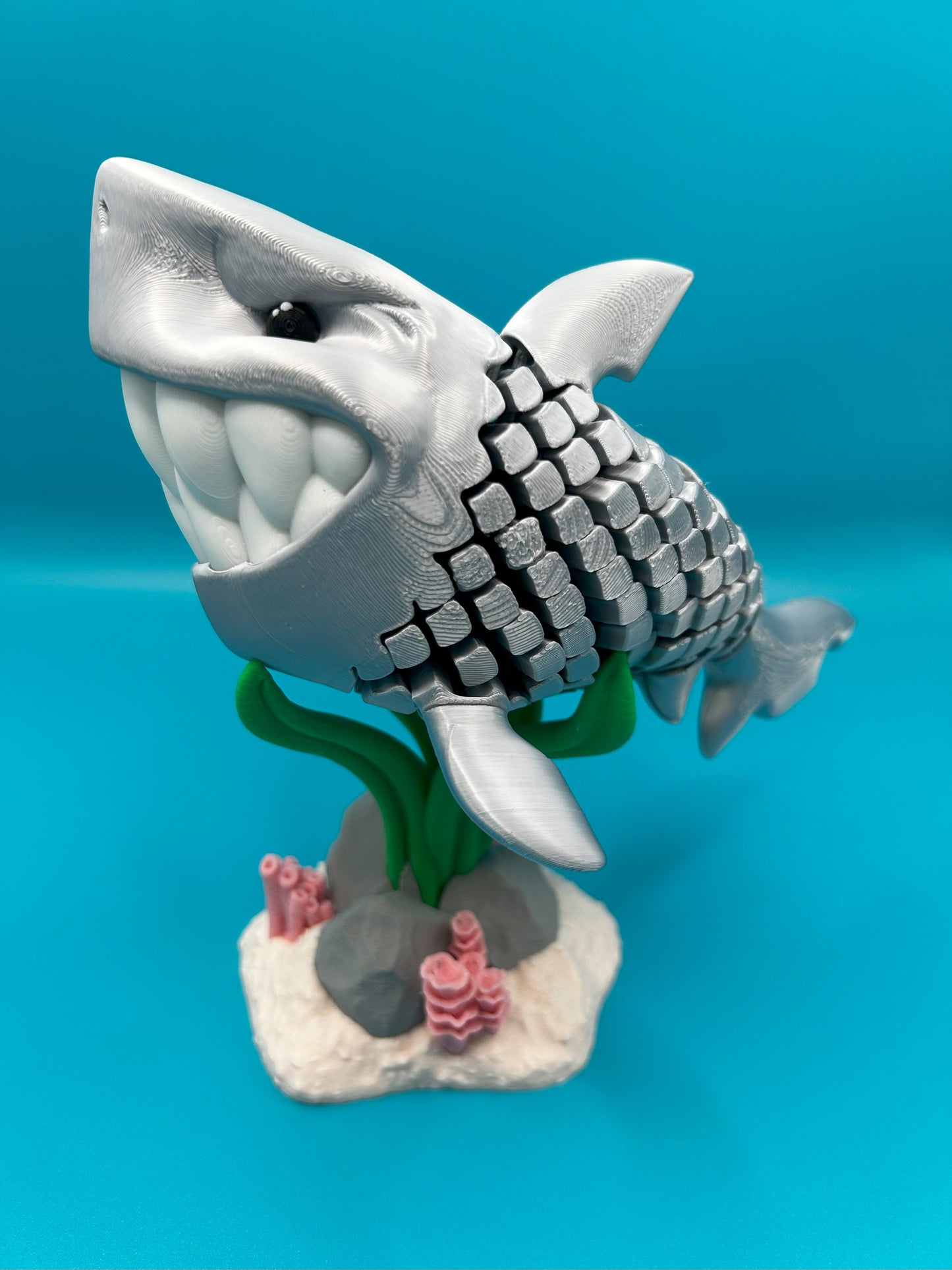 Travis The Silver Shark