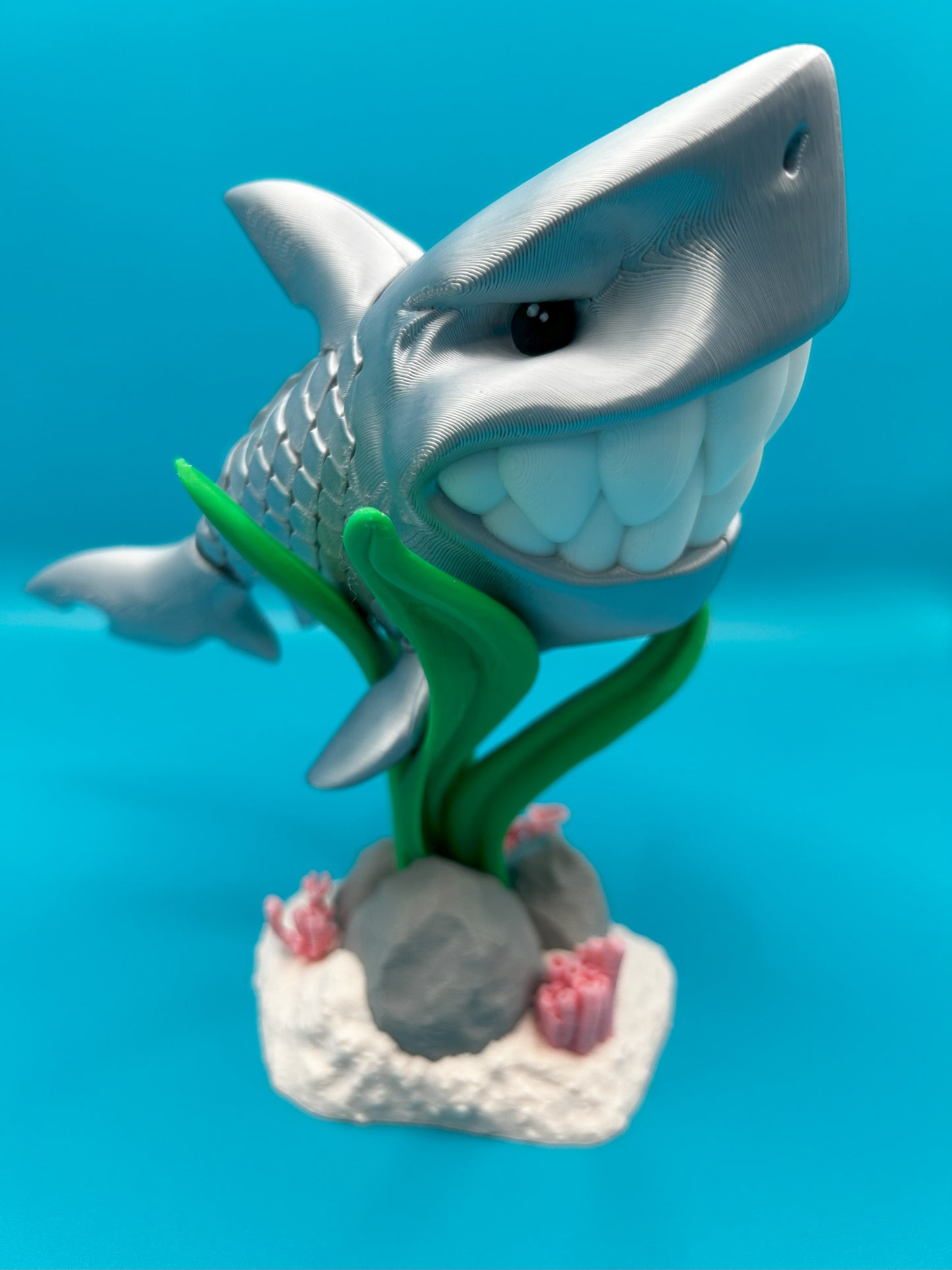 Travis The Silver Shark