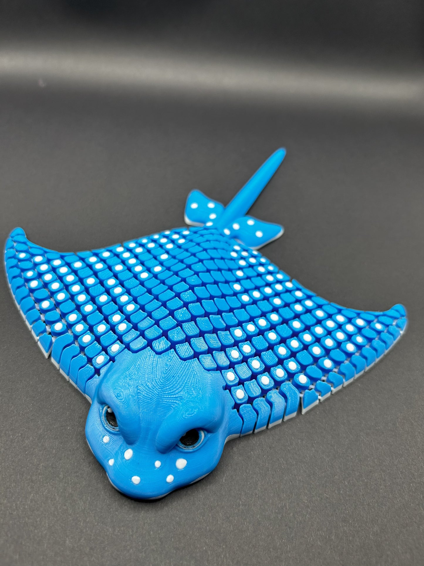 Igor ~ Spotted Eagle Stingray