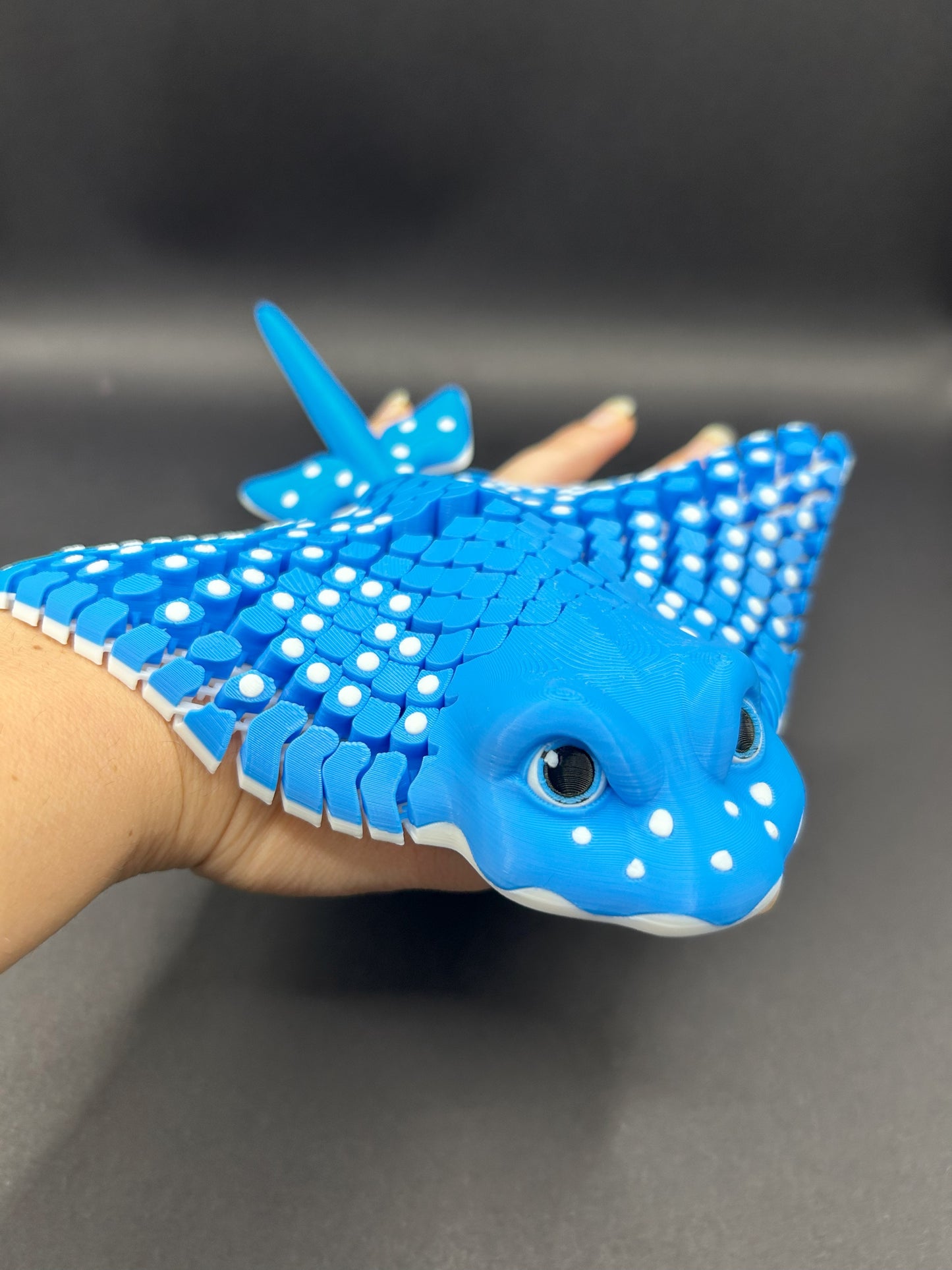 Igor ~ Spotted Eagle Stingray