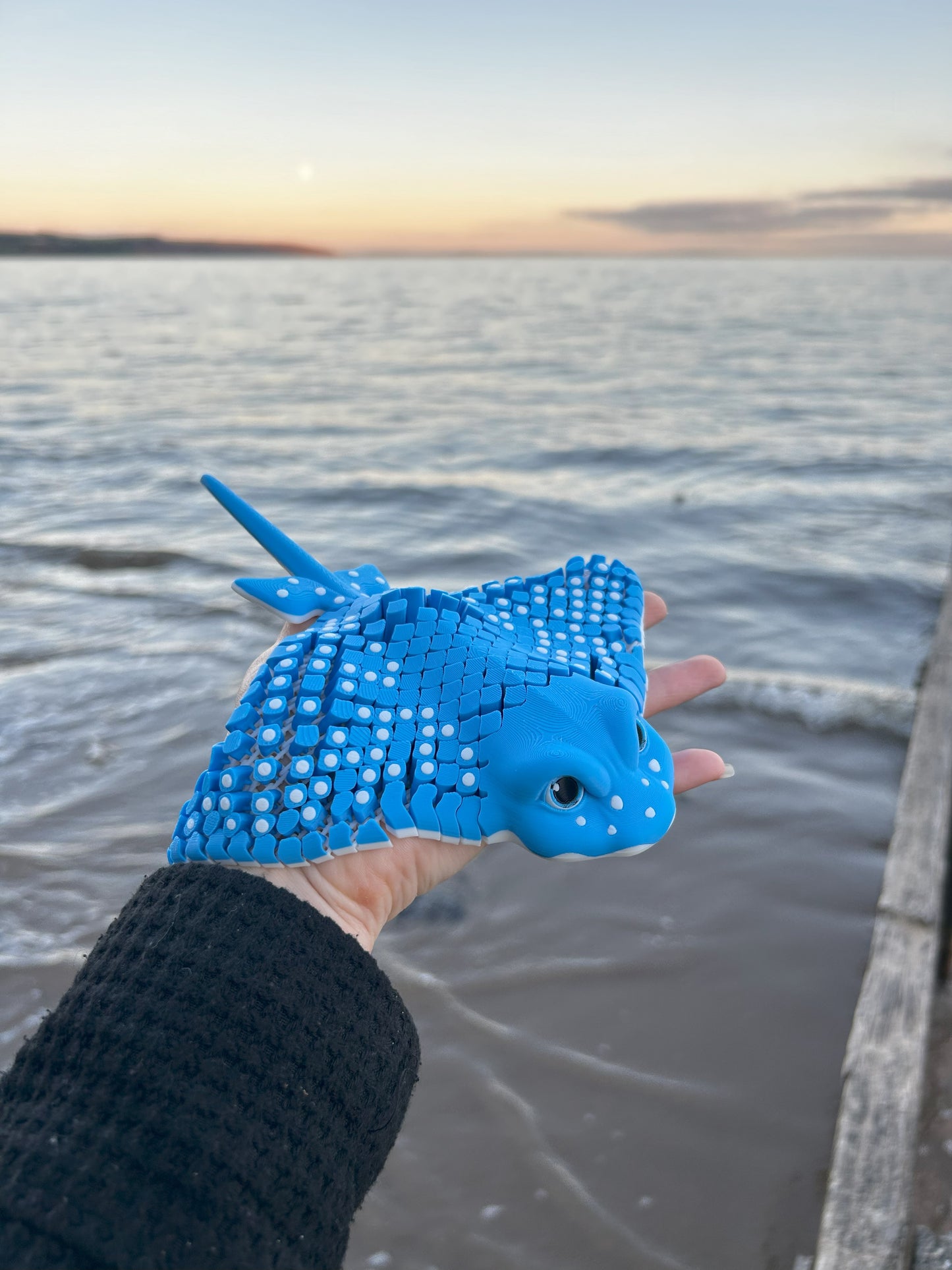 Igor ~ Spotted Eagle Stingray