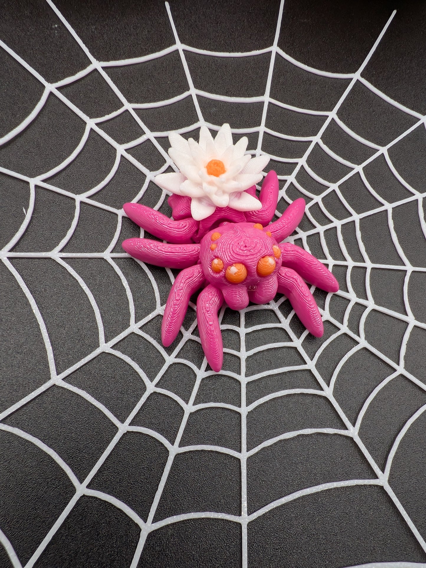 Cute Articulated Spiders 3D Printed High Quality Fidget Toy Collection