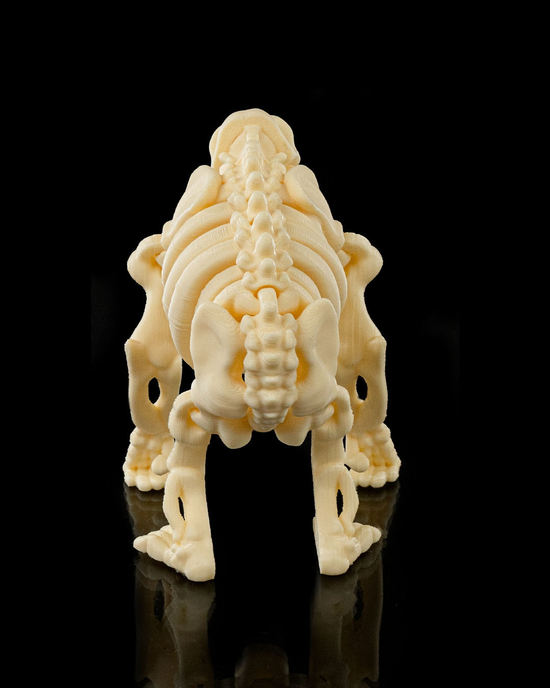 Skeleton Chimp