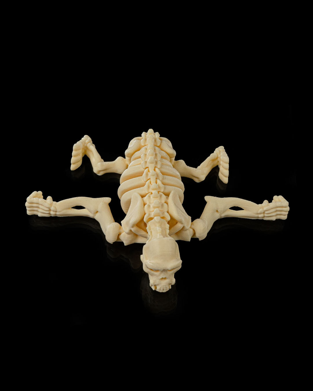 Skeleton Chimp