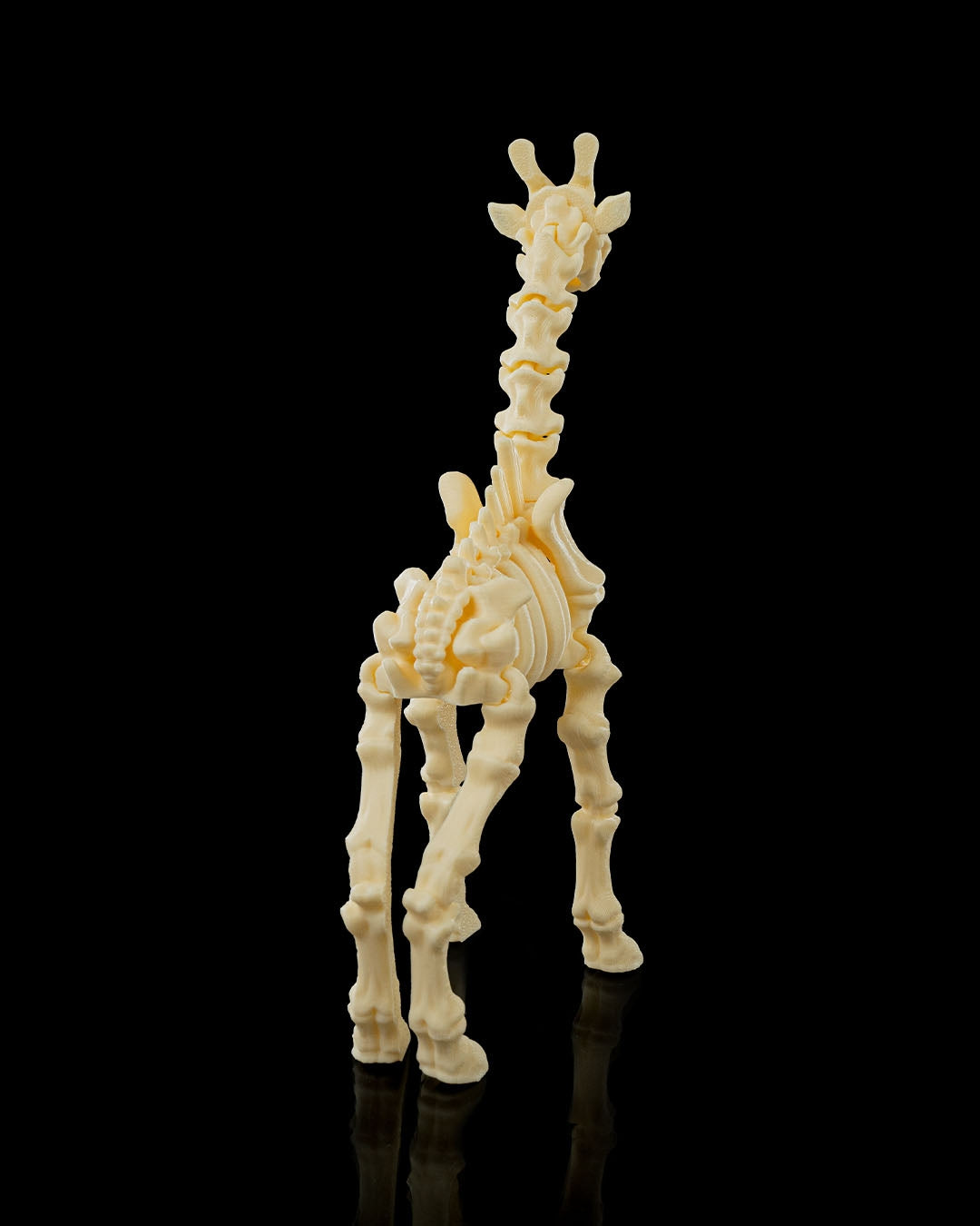 Skeleton Giraffe