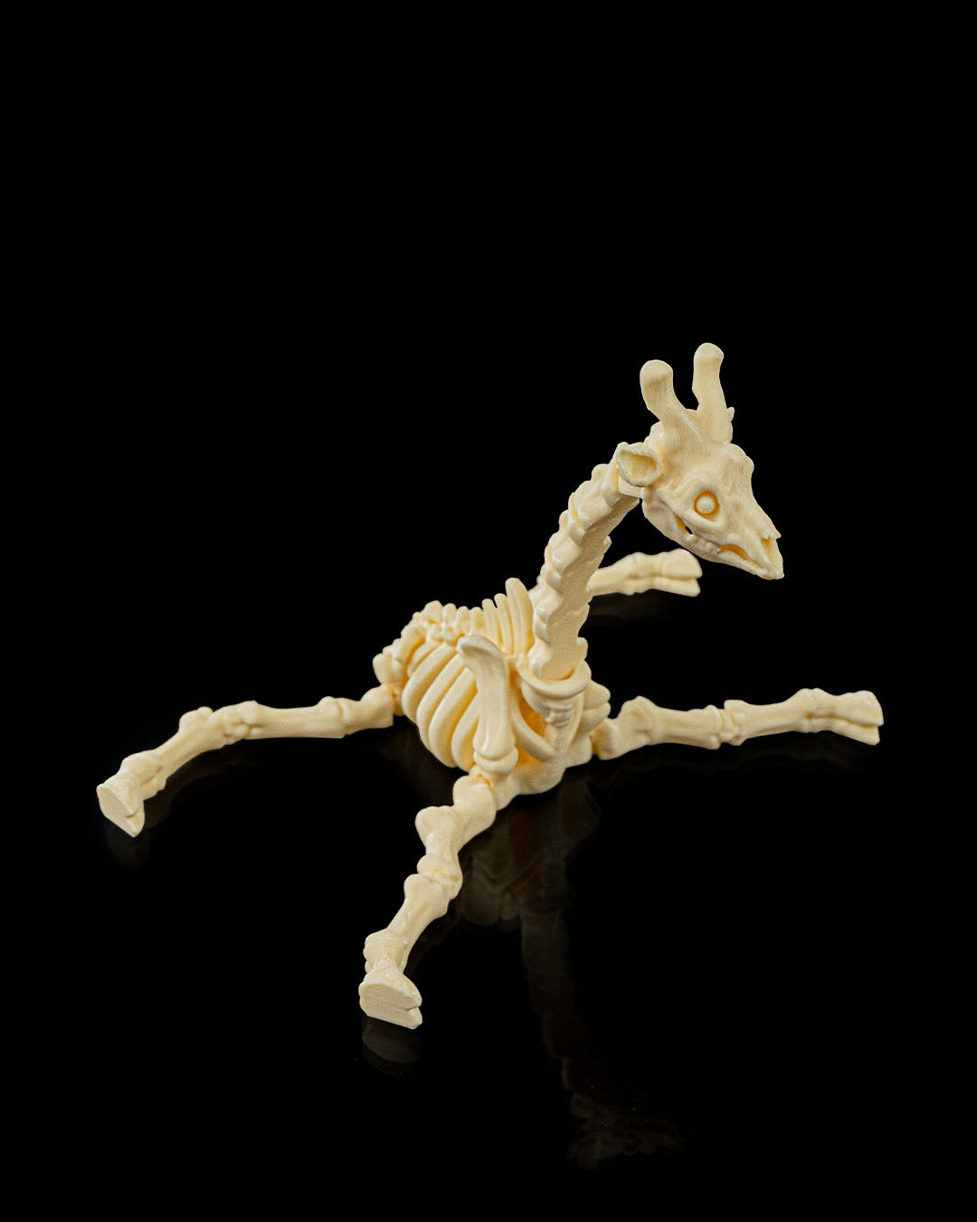 Skeleton Giraffe