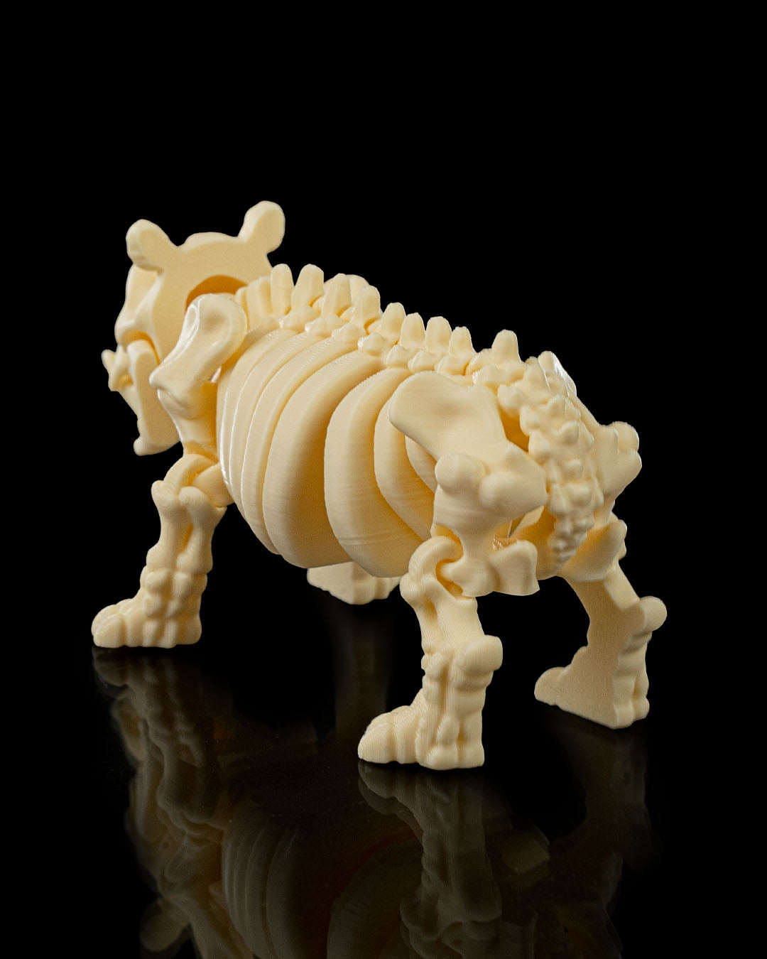 Skeleton Hippo