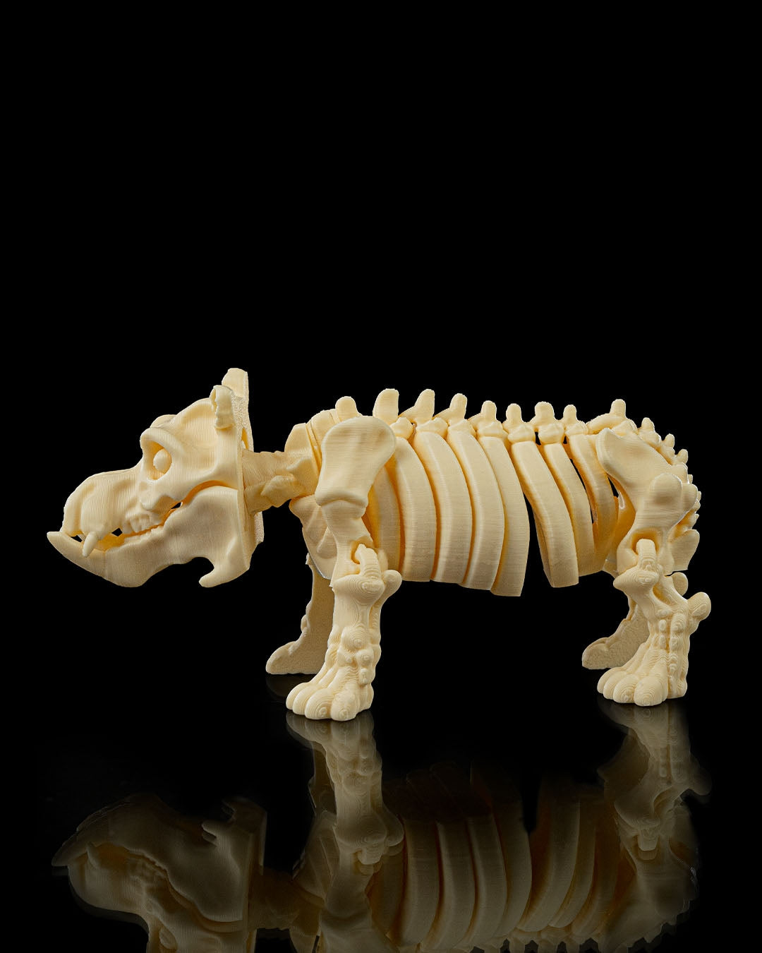 Skeleton Hippo