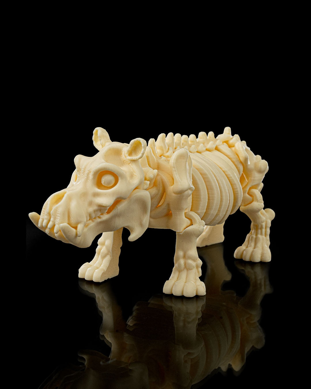 Skeleton Hippo