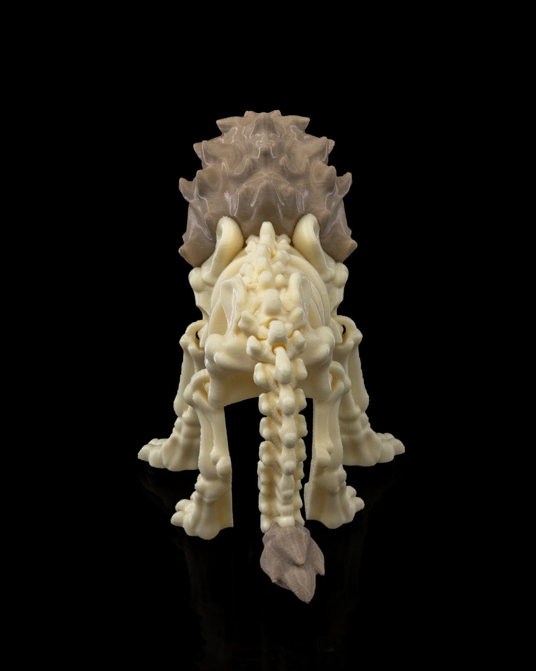 Skeleton Lion