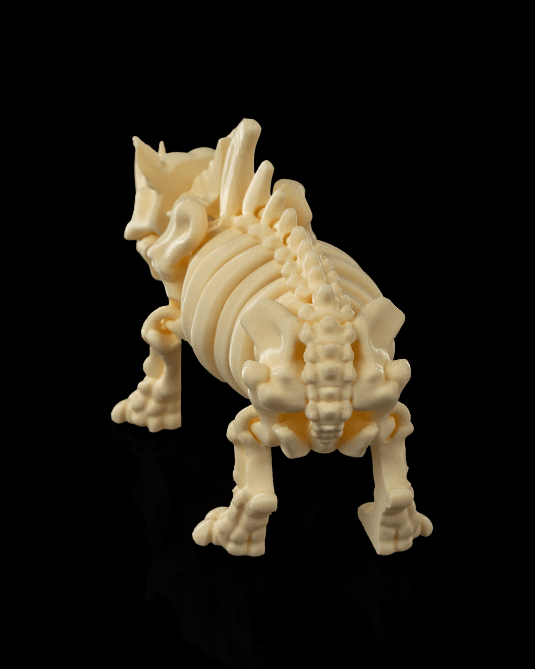 Skeleton Rhino