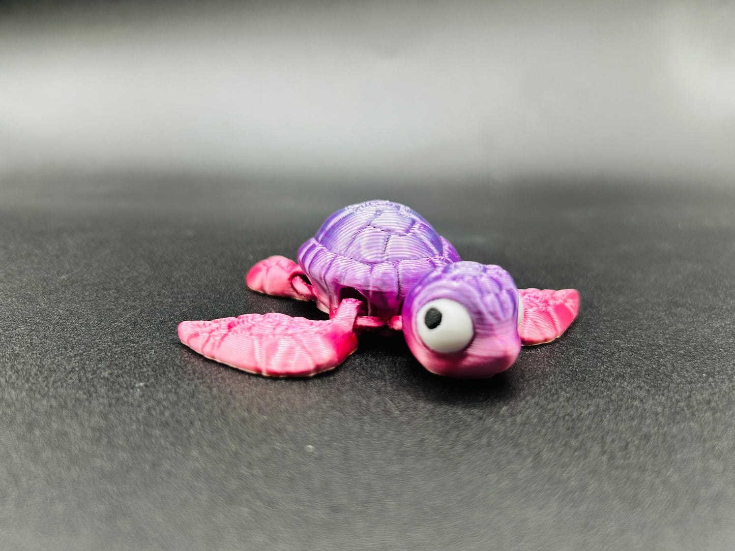 Tiny Turtle