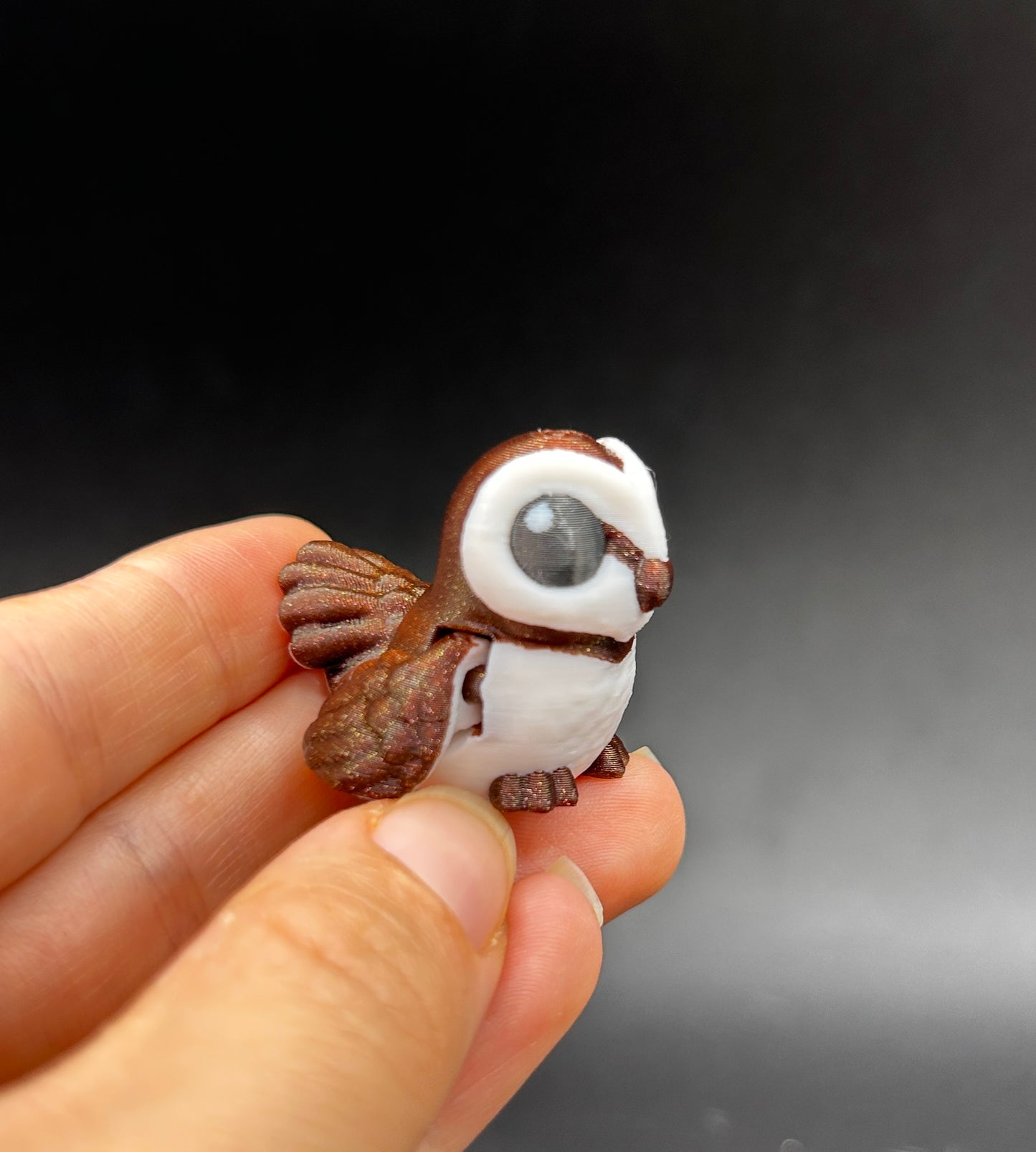 Barn Owl ~ Spooky Hatchling