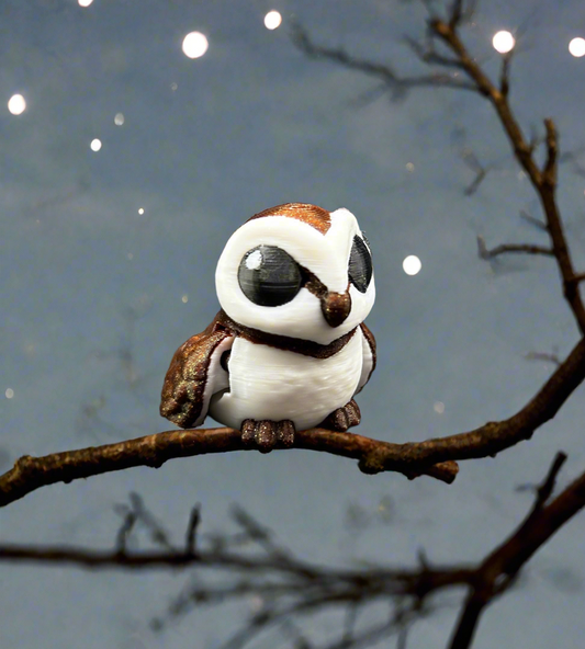 Barn Owl ~ Spooky Hatchling