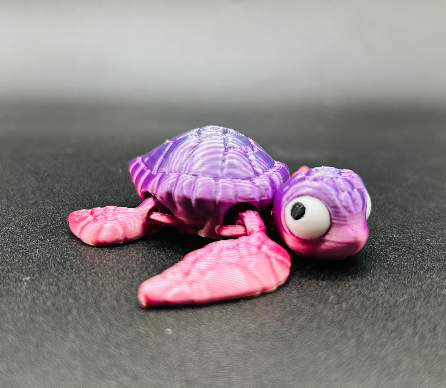 Tiny Turtle